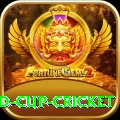 2022 world cup cricket Casino Gold v3.2.5
