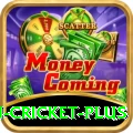 australian cricket Plus Slots