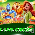 bpl live cricket - Champion v5.3.9