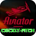 cricket pitch Royal v5.4.0