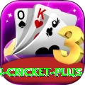india pakistan cricket Money Max v1.6.3