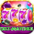 india upcoming cricket matches - Ultimate Earning App
