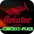 international cricket - Royal v3.7.1
