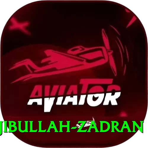 najibullah zadran - Supreme Earning App - 2