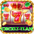 new zealand cricket team Deluxe Jackpot