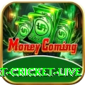 smart cricket live Slot Machine Master