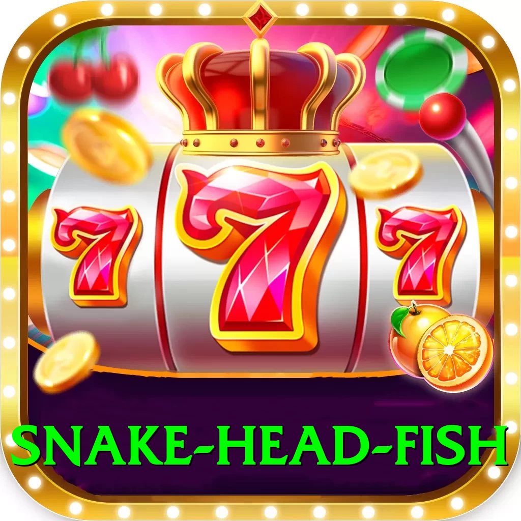 snake head fish - Live Mega - 2