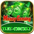 test cricket - Gaming Gold