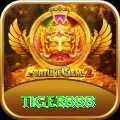 tiger888 Royal APK v2.6.5