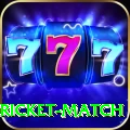 to day cricket match Slots Mega v4.1.9
