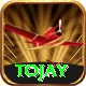 tojay Gold Edition v5.1.6